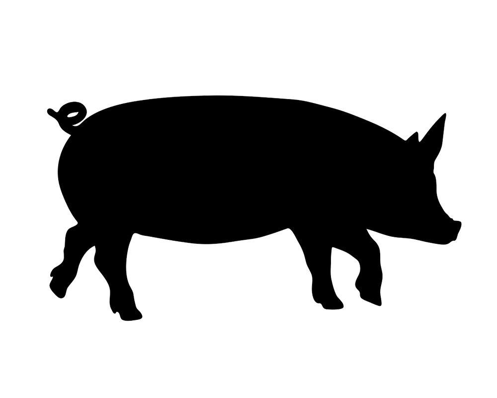 Illustration Schwein
