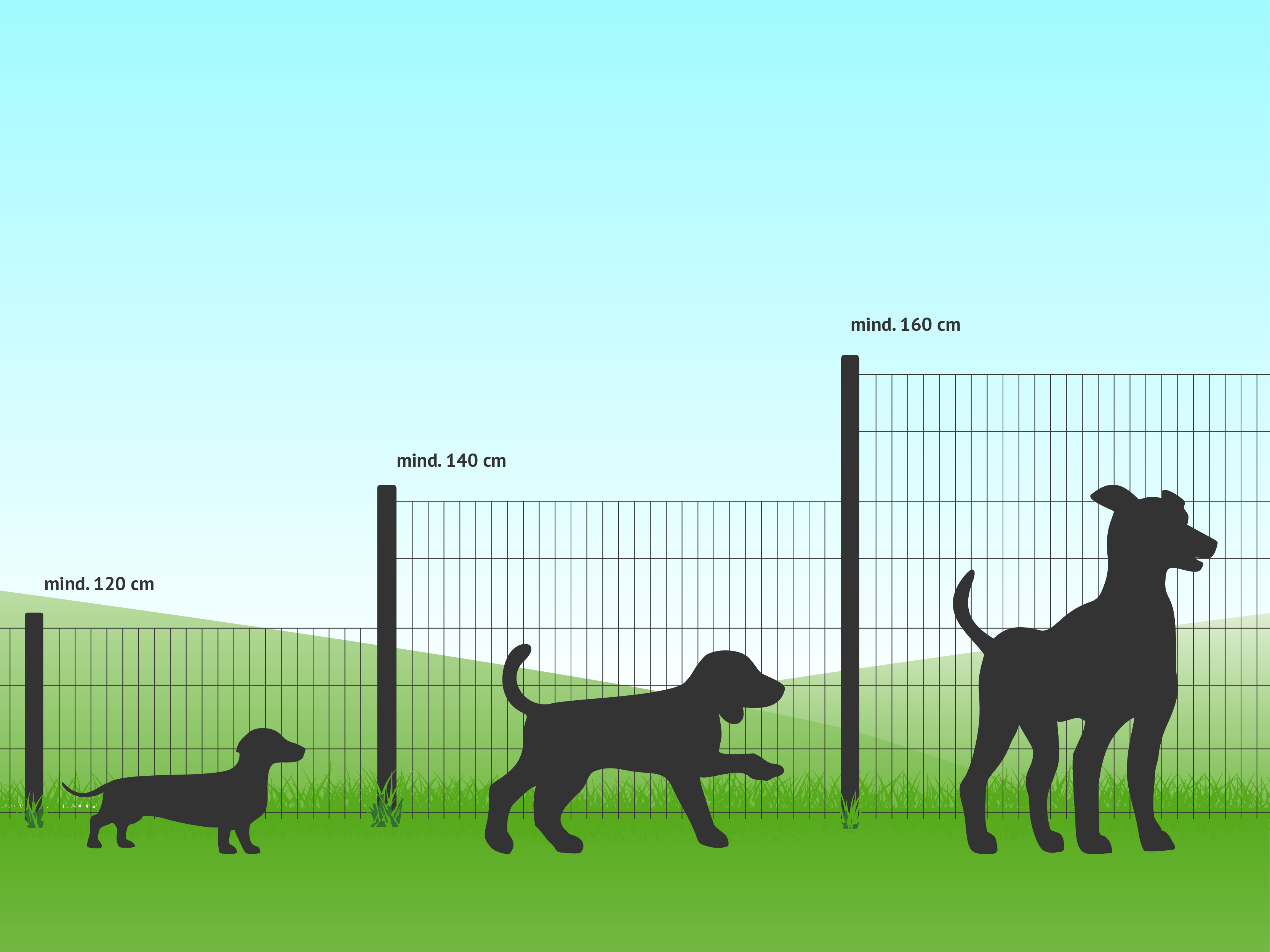 Illustration: Darstellung der optimalen Zaunhöhe je Hunderasse