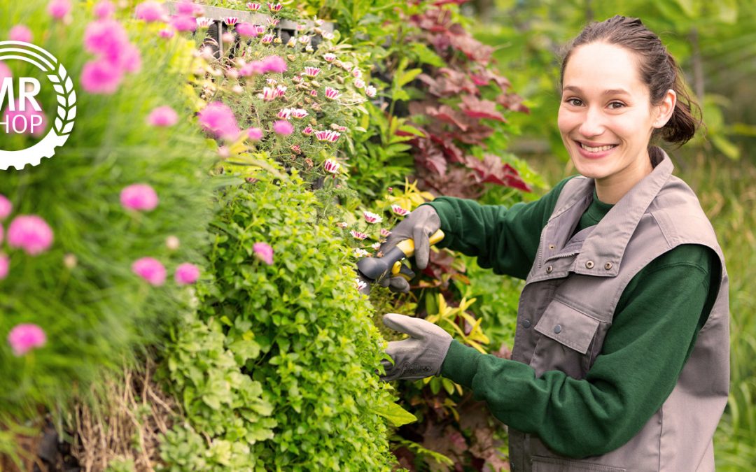 Bepflanzungs-Tipps für Ihren Gartenzaun