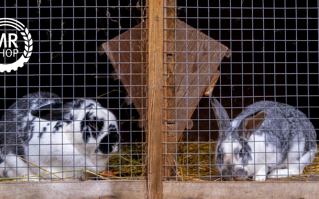 Der passende Volierendraht für Ihr Kaninchengehege